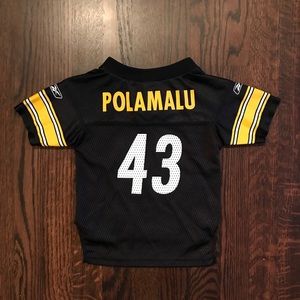 Troy Polamalu NFL Pittsburgh Steelers Jersey